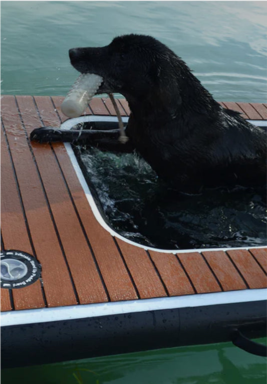 From Dock to Dive: How Dog-DOK Makes Water Access Effortless