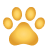 Dog paw