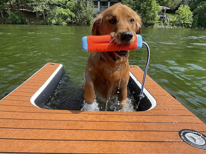 Dog on Paddle-DOK