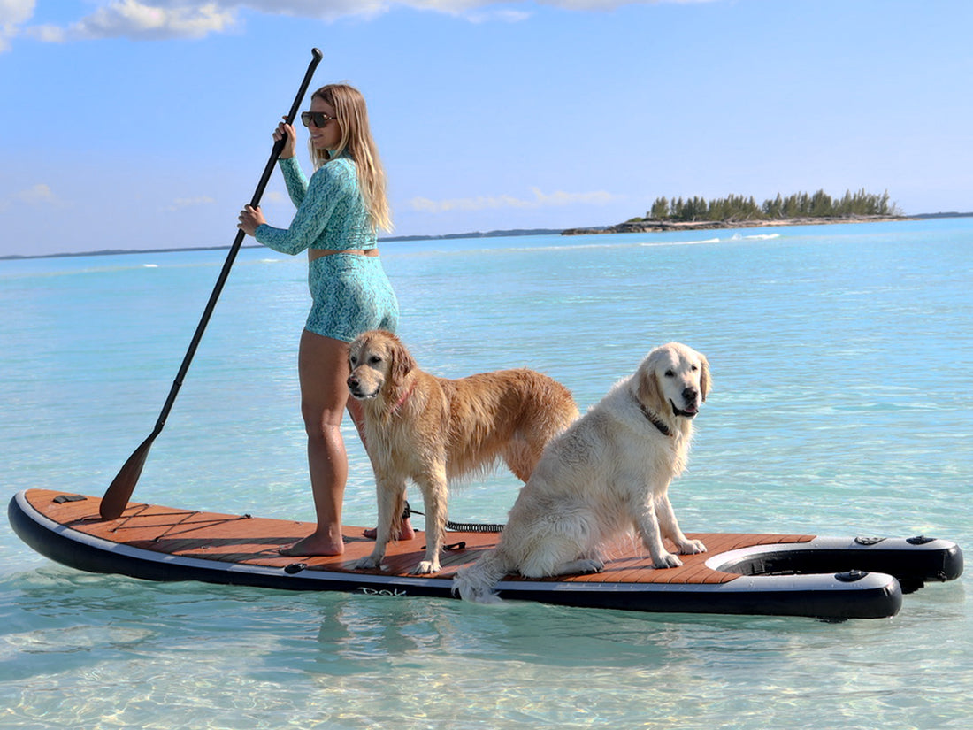Shop Paddle-DOK