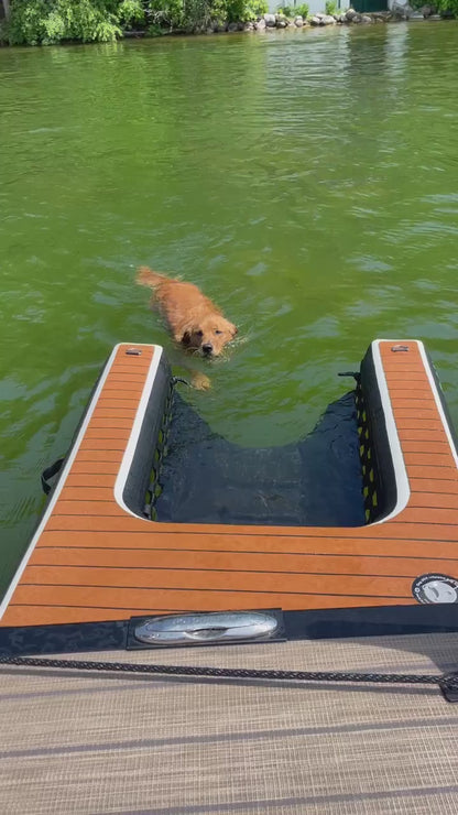 Dog-DOK Mini